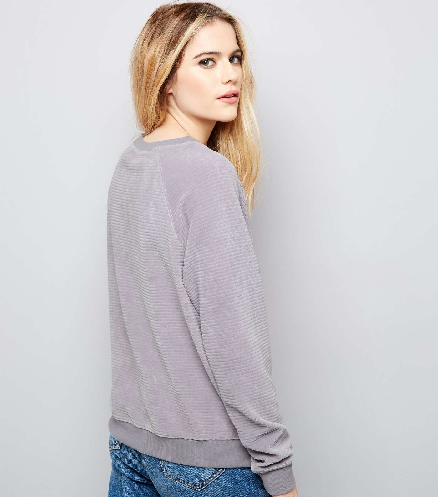 Pale Grey Velvet Long Sleeve Sweater  Image 3