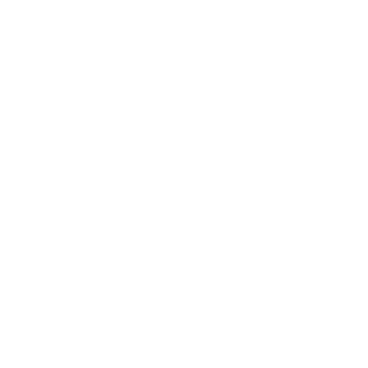 Real Technique