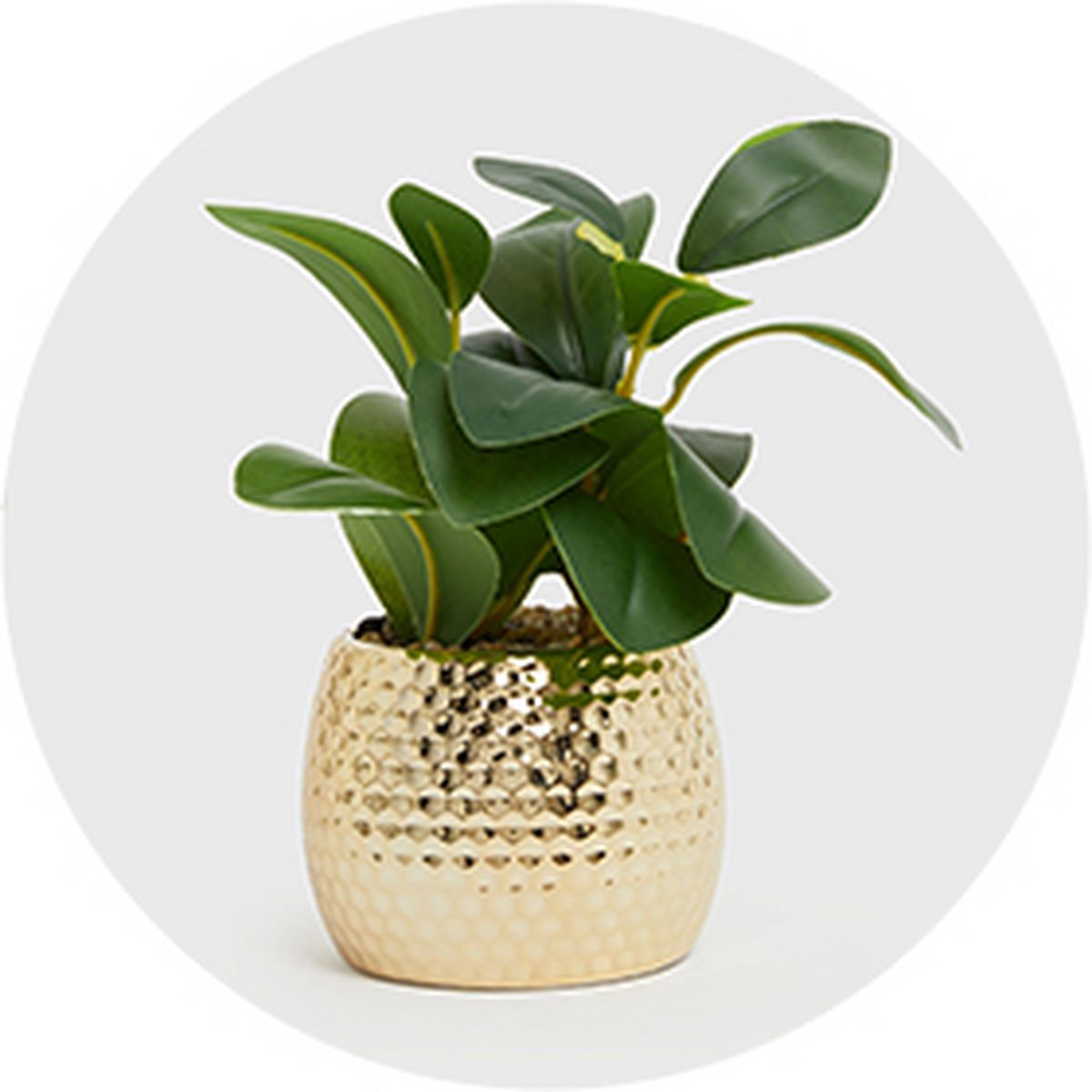 Gifts under £10