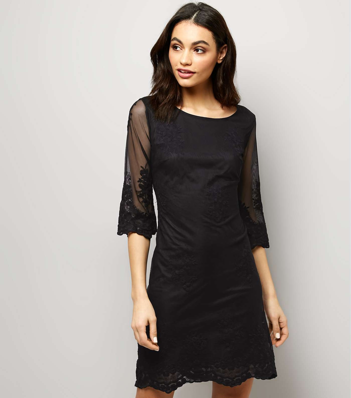 Mela Black Mesh Embroidered Sleeve Mini Dress 
