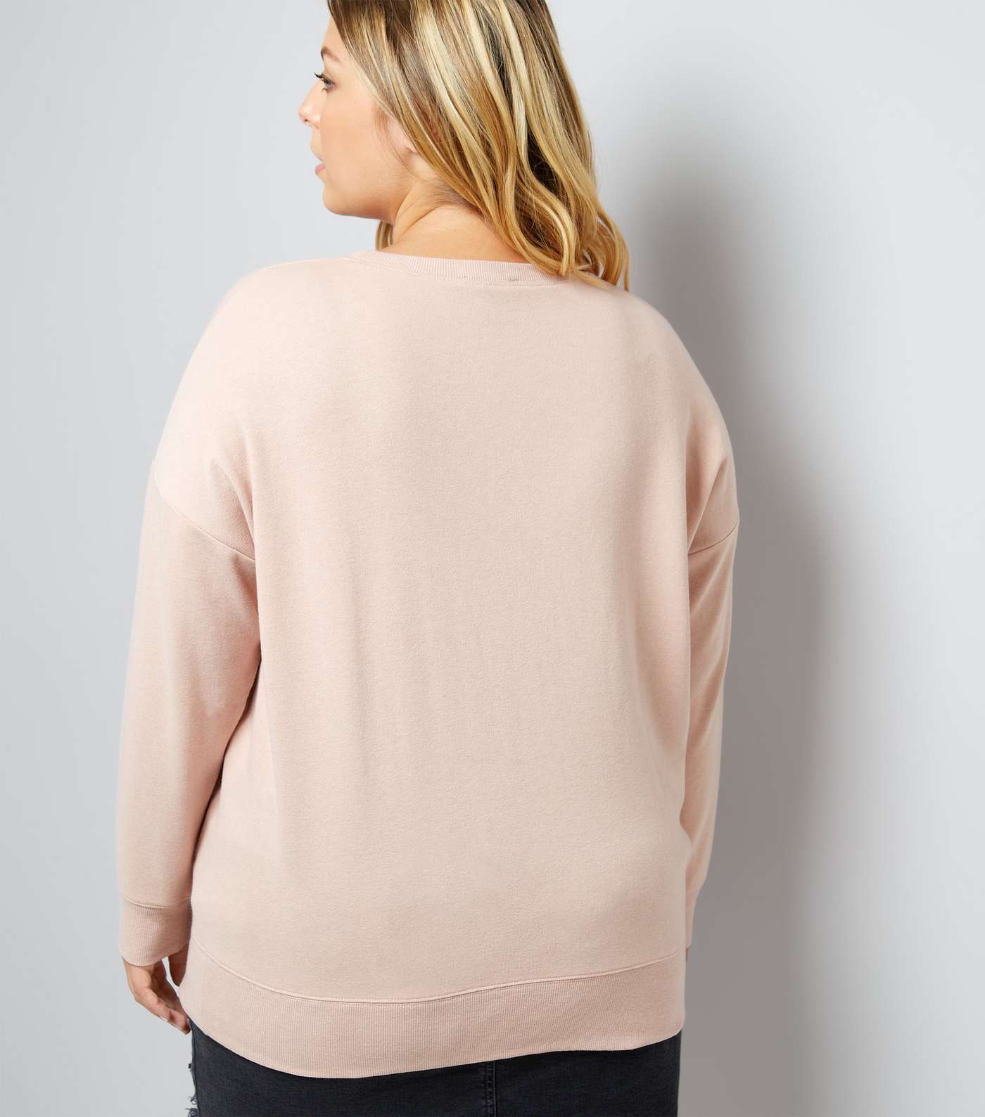 Curves Shell Pink Sweater Image 3