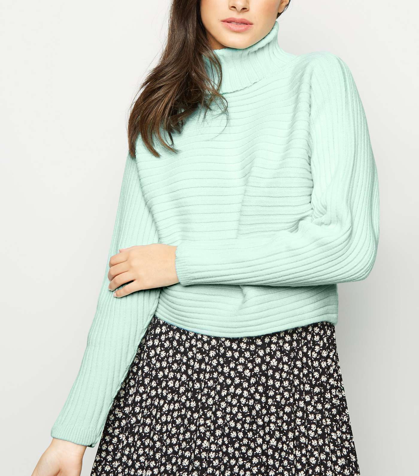 Mint Green Roll Neck Boxy Cropped Jumper 