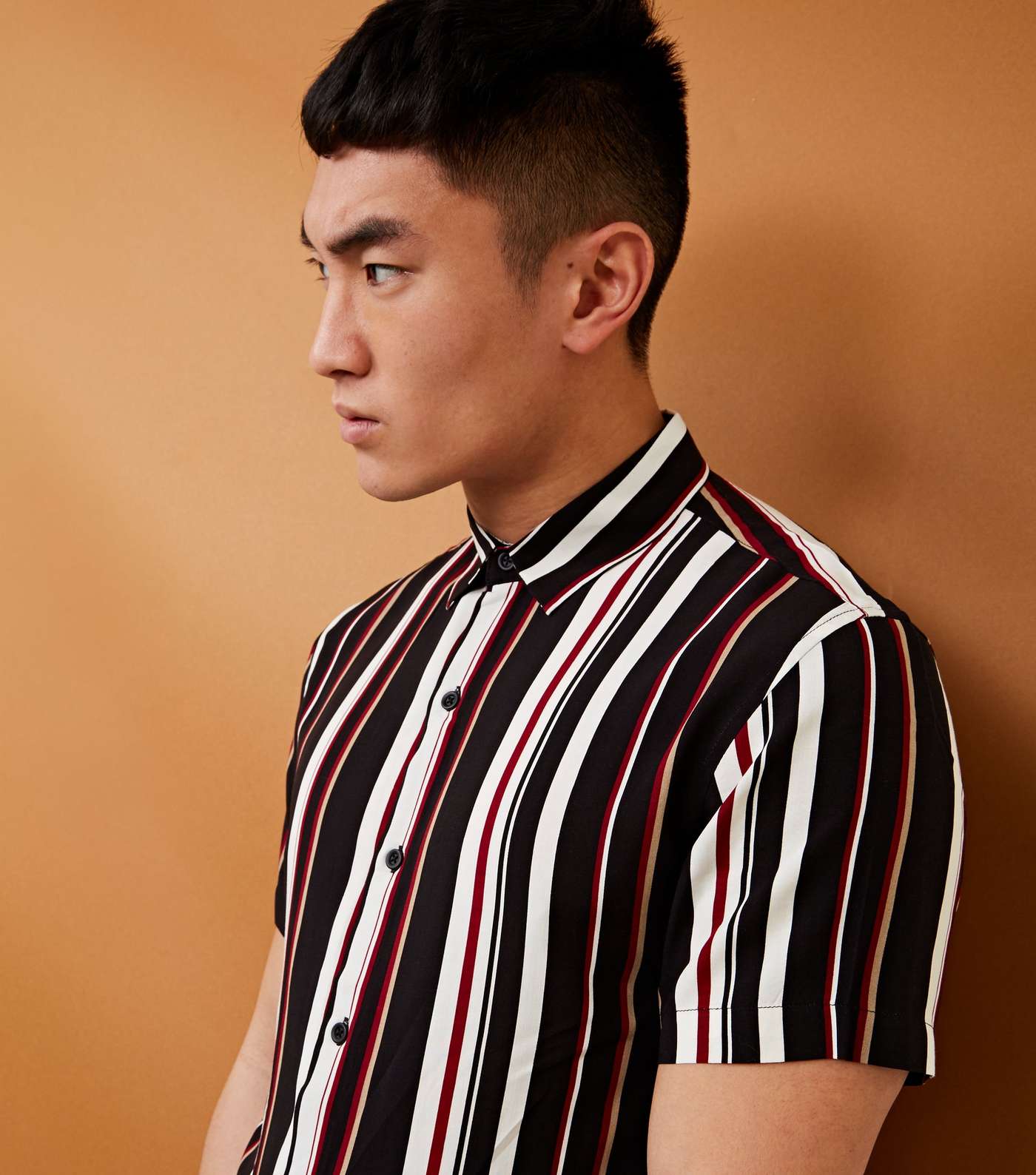 Black and Burgundy Stripe Short Sleeve Shirt Image 5