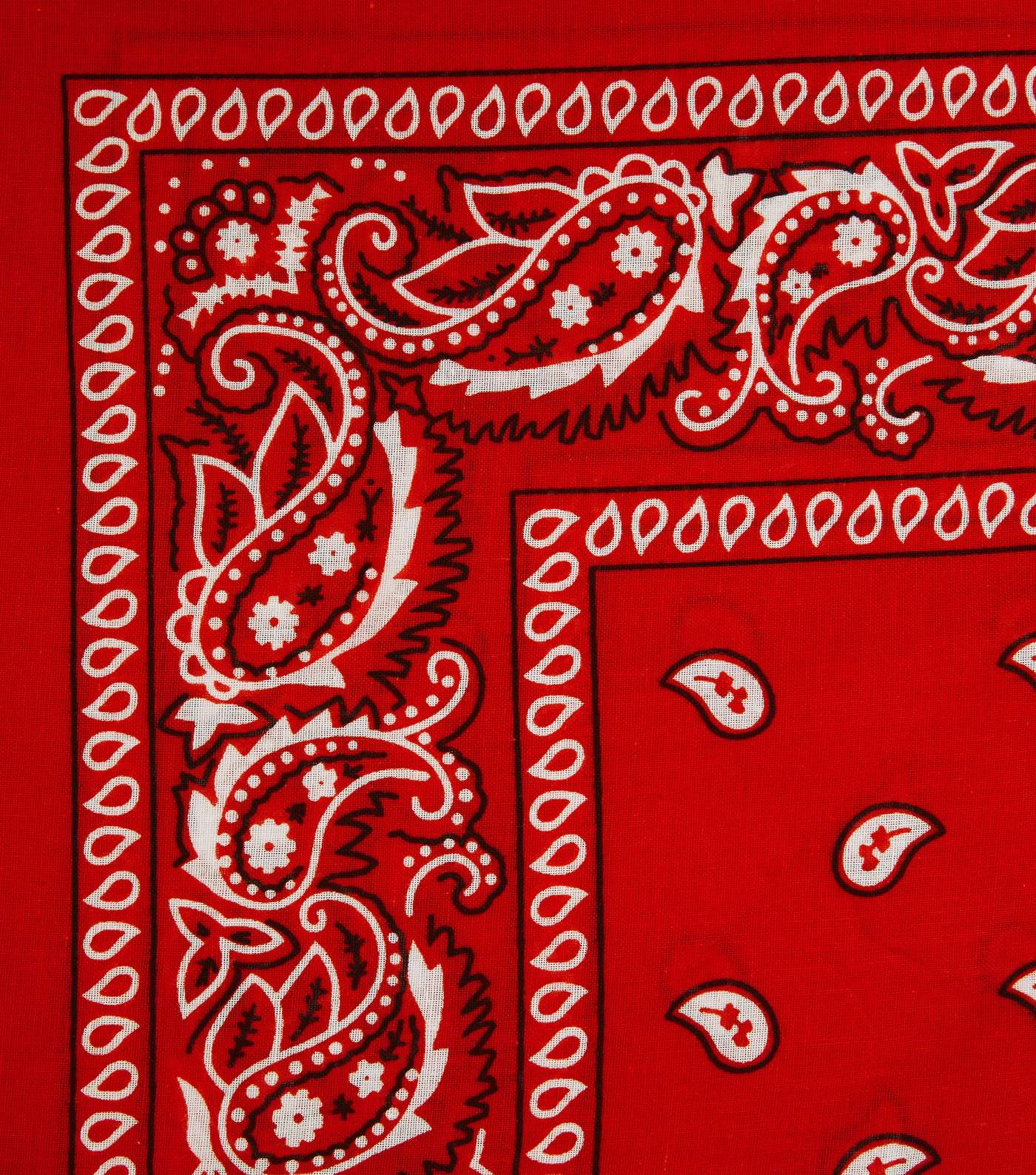 Red Paisley Print Bandana Image 3