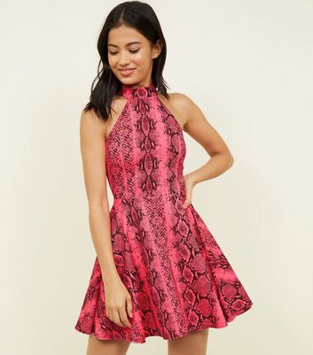 Carpe Diem Pink Neon Snake Print Skater Dress New Look shop for Carpe Diem Pink Neon Snake Print Skater Dress New Look at Shopo