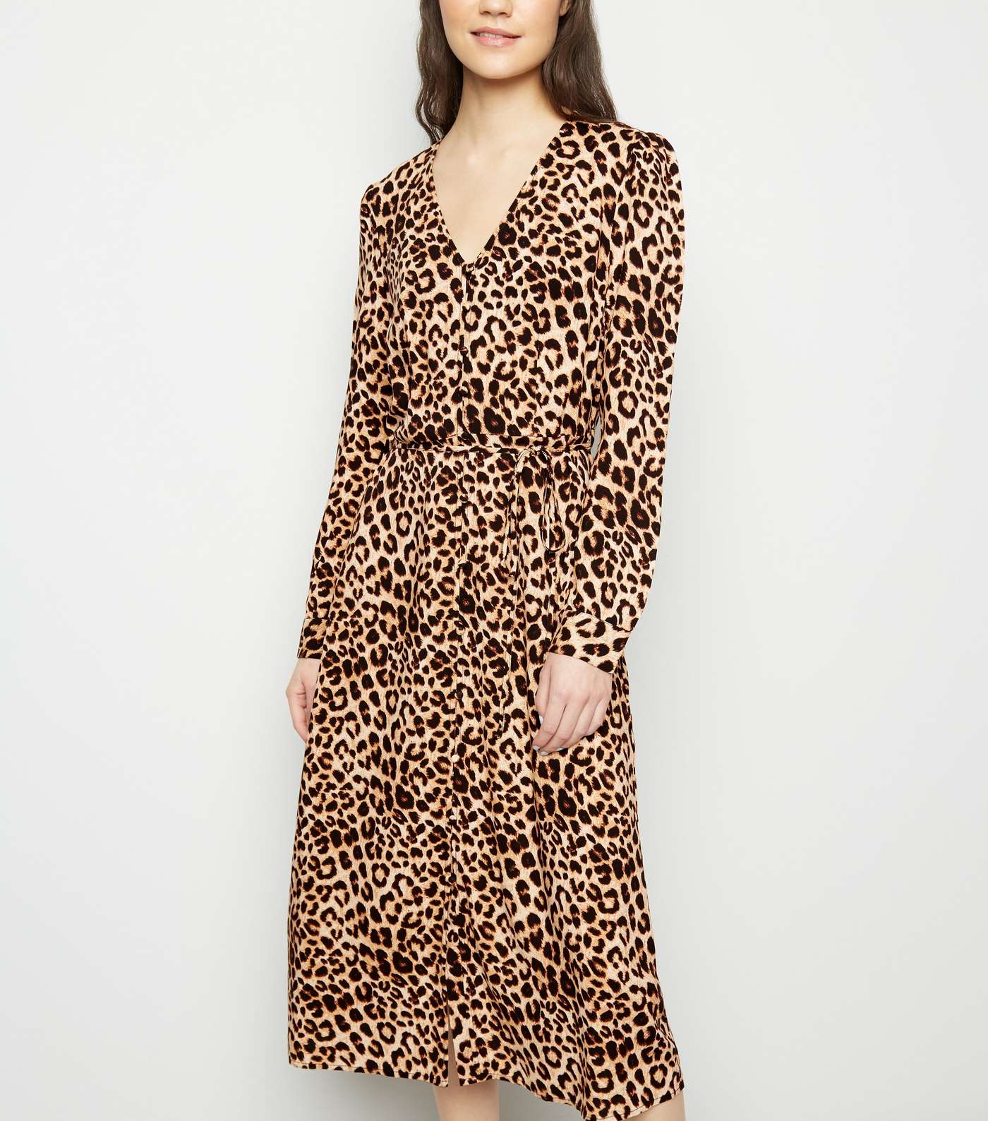 Brown Leopard Print Long Sleeve Midi Dress  Image 2
