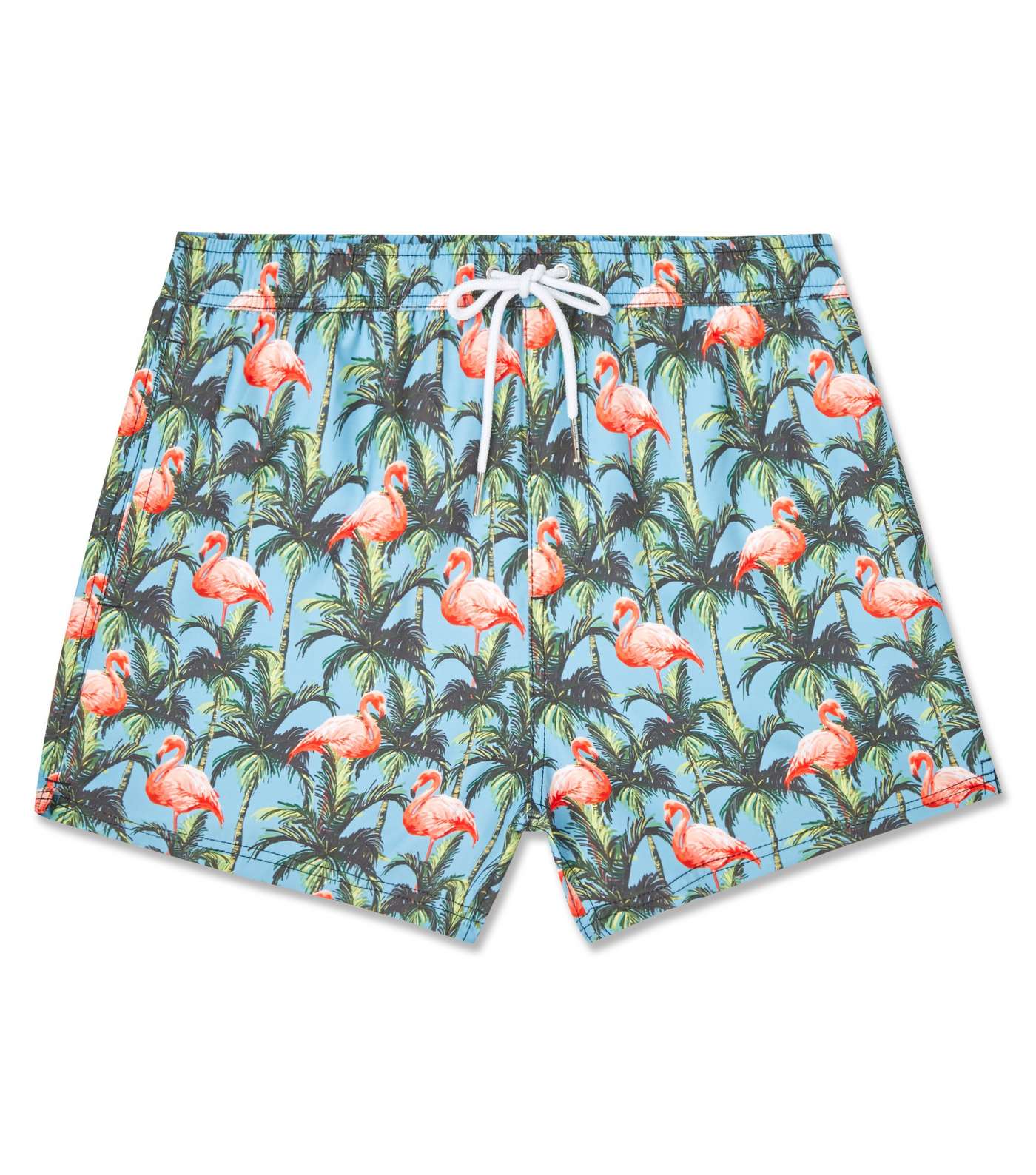 Turquoise Flamingo Print Swim Shorts Image 4
