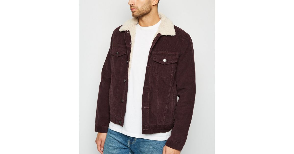 Burgundy Cord Teddy Lined Jacket | New Look