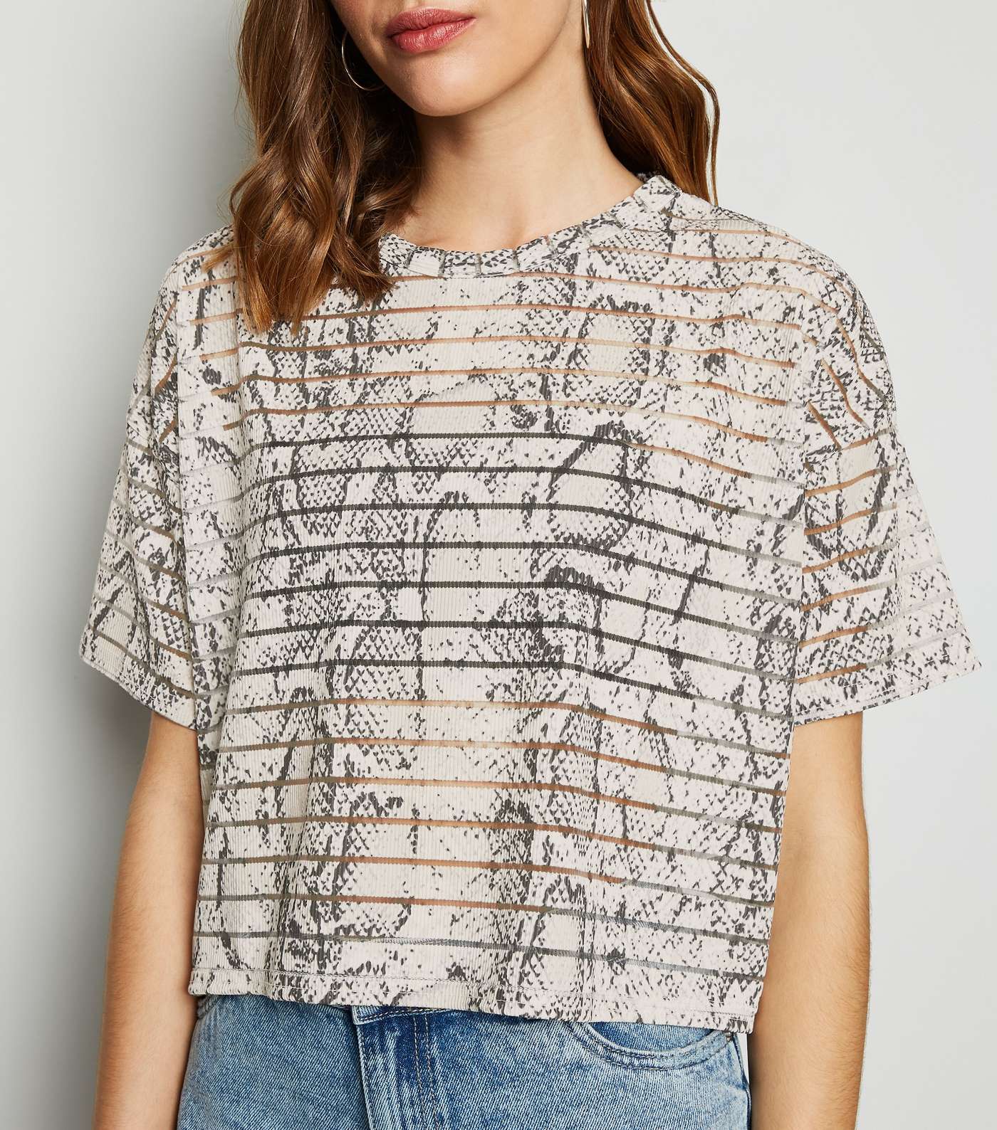 Light Grey Snake Print Stripe Mesh T-Shirt