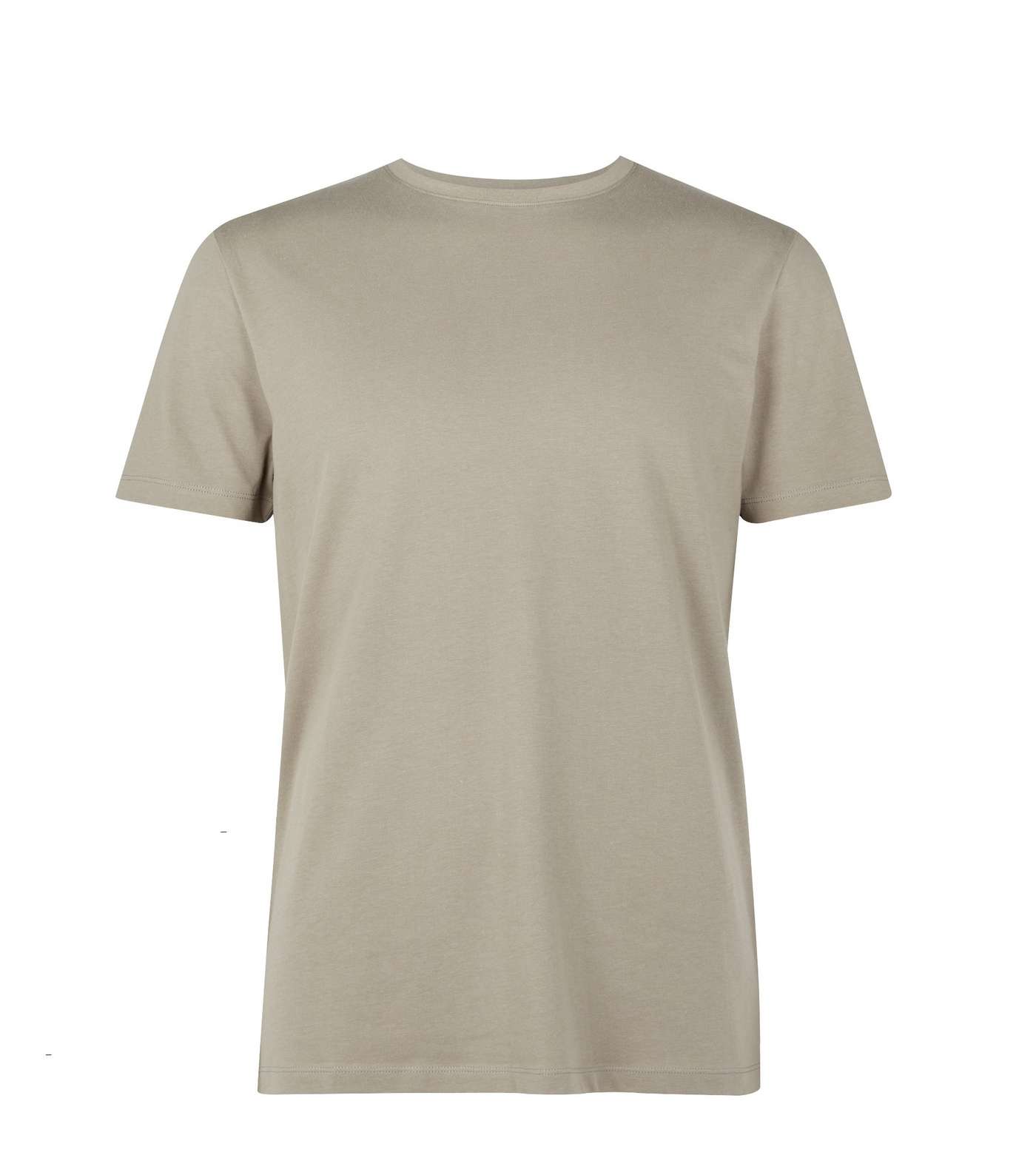 Pale Grey Crew Neck T-Shirt Image 5