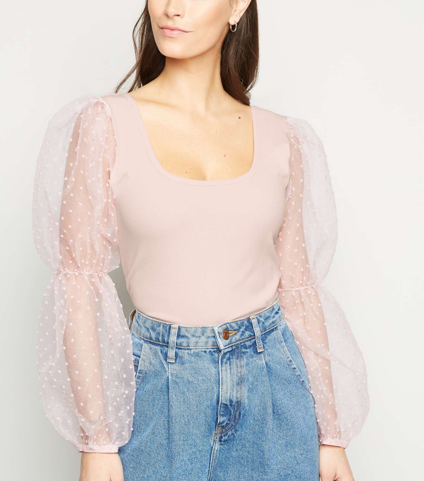 Cameo Rose Pale Pink Mesh Puff Sleeve Top