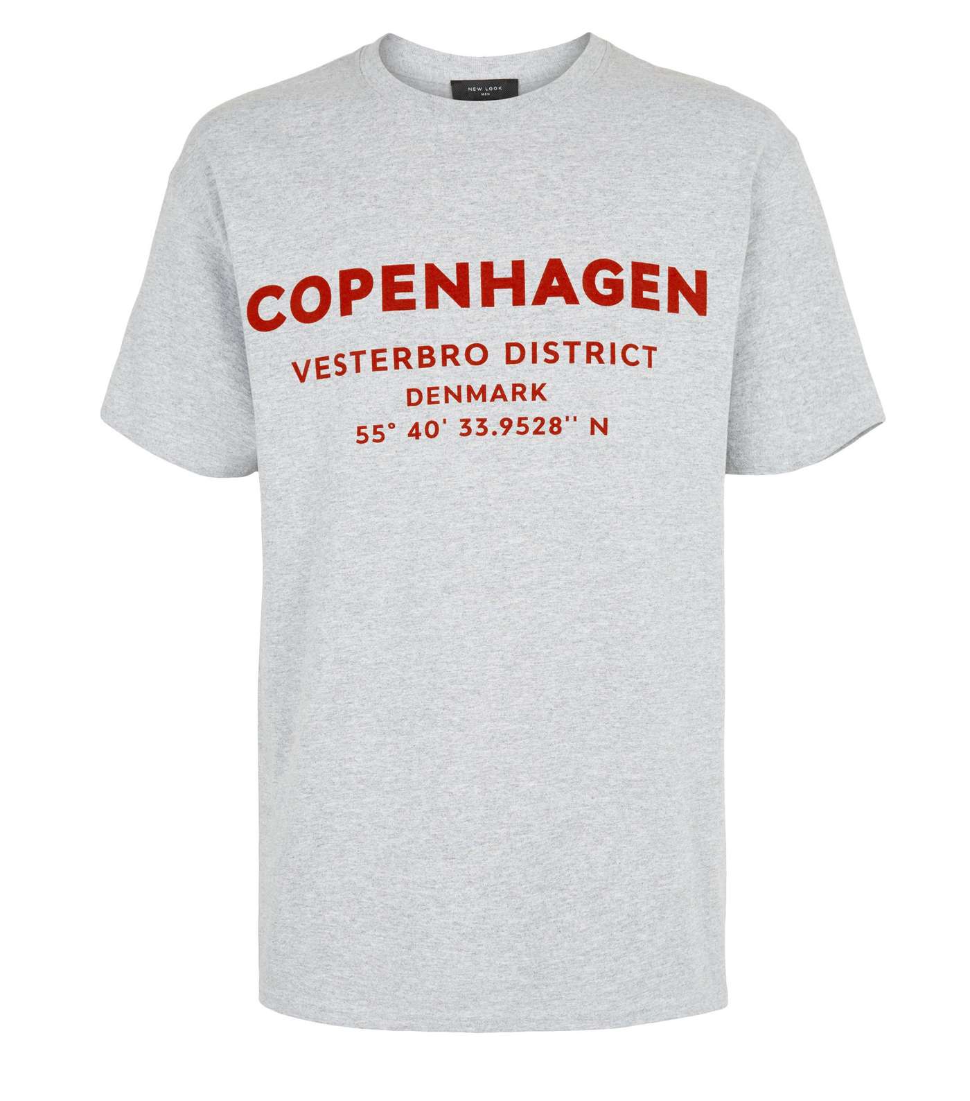Grey Oversized Copenhagen Slogan T-Shirt Image 4