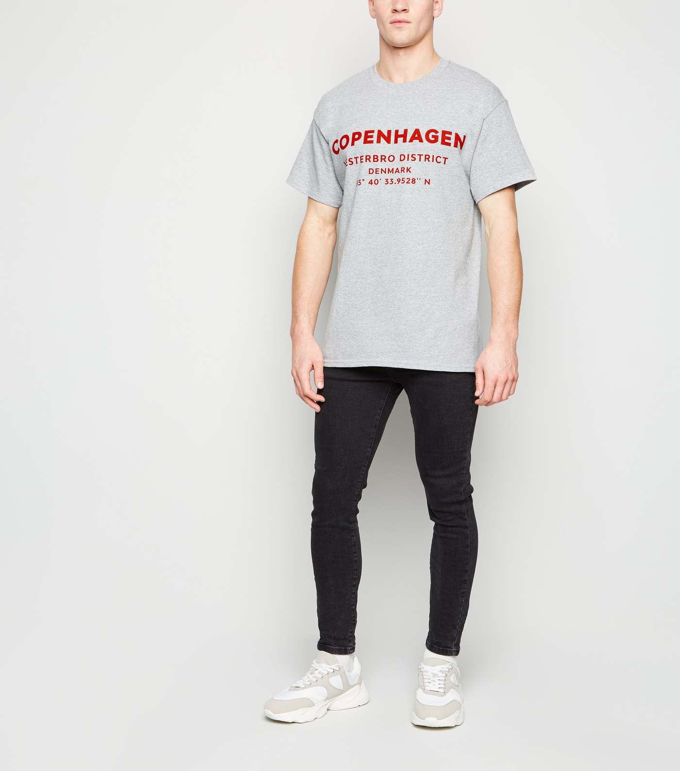 Grey Oversized Copenhagen Slogan T-Shirt Image 2