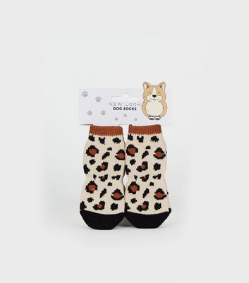 pet socks