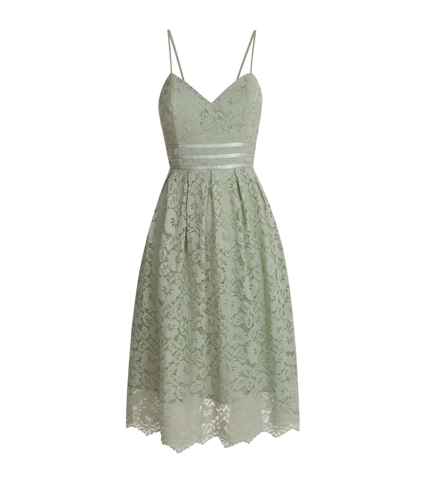 Petite Light Green Floral Lace Dress