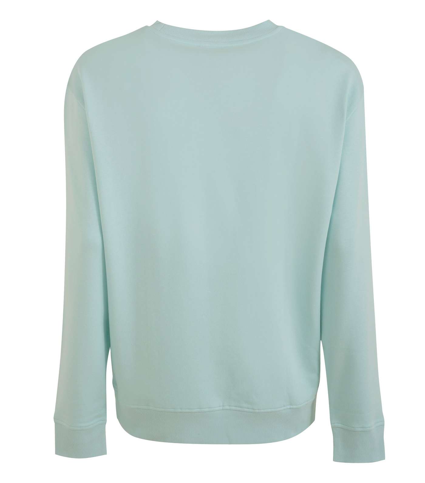 Mint Green Rose Embroidered Sweatshirt Image 2