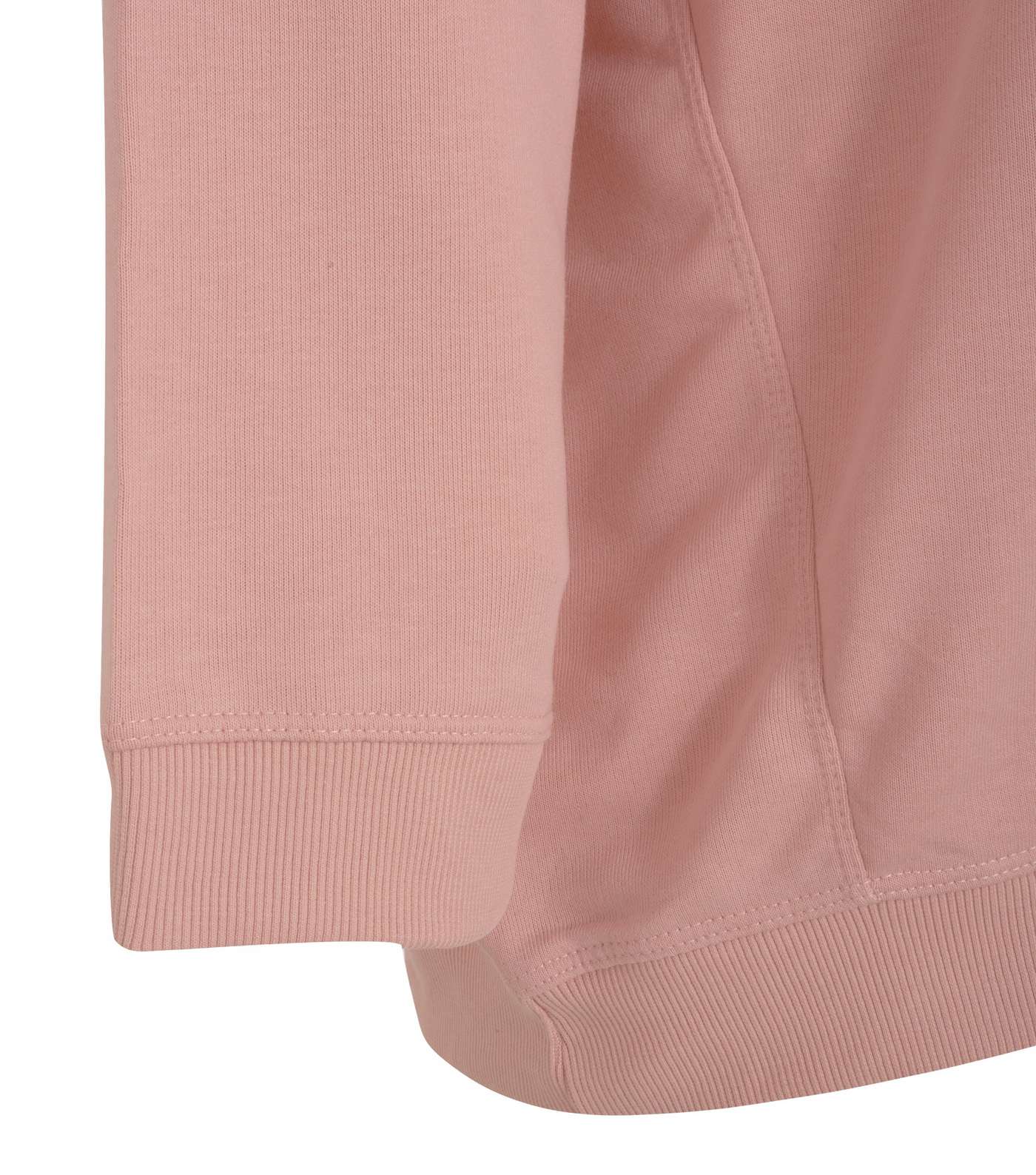 Curves Pale Pink Jersey Crew Neck Sweatshirt Image 3