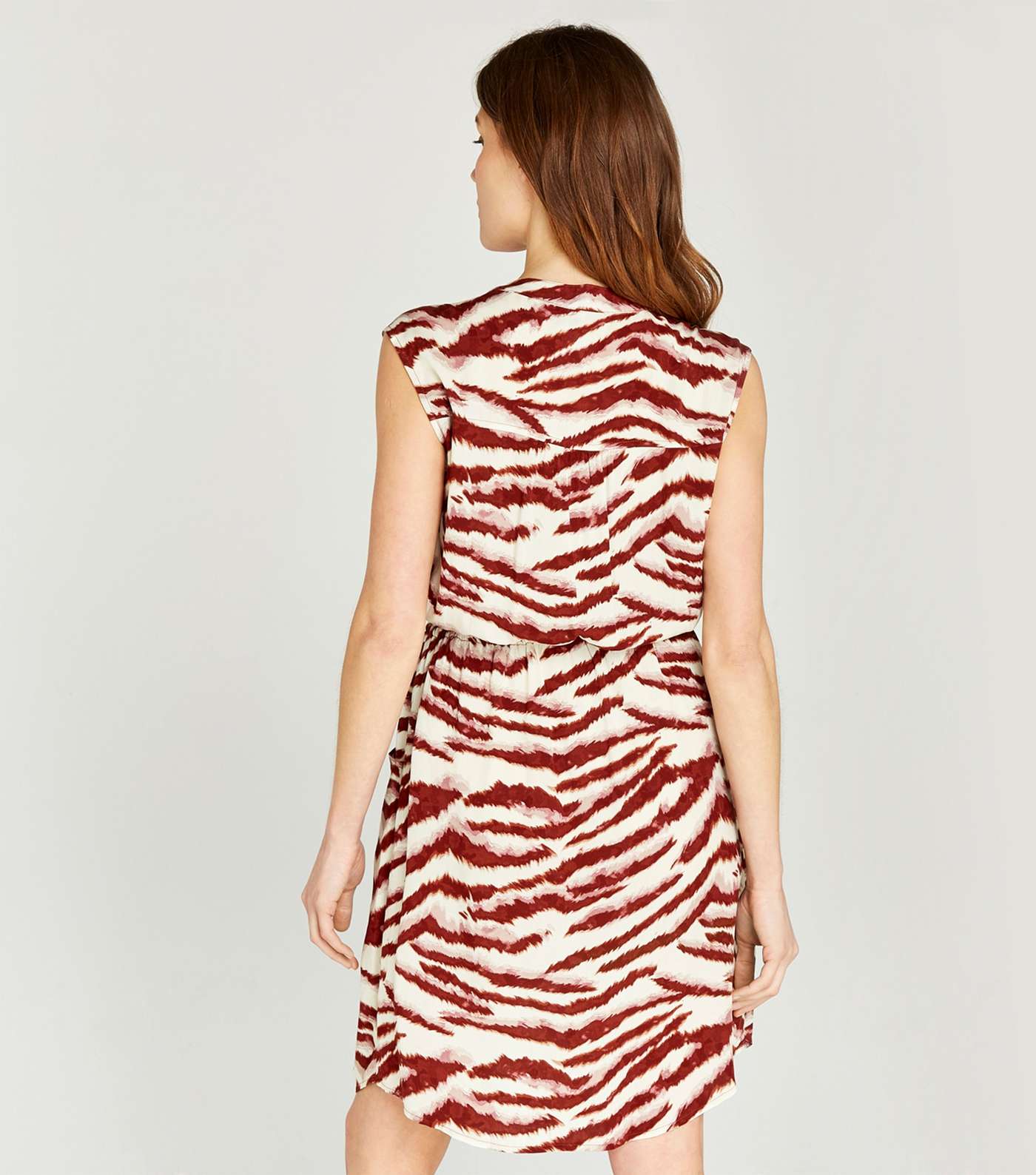 Apricot Rust Zebra Sleeveless Utility Dress  Image 3
