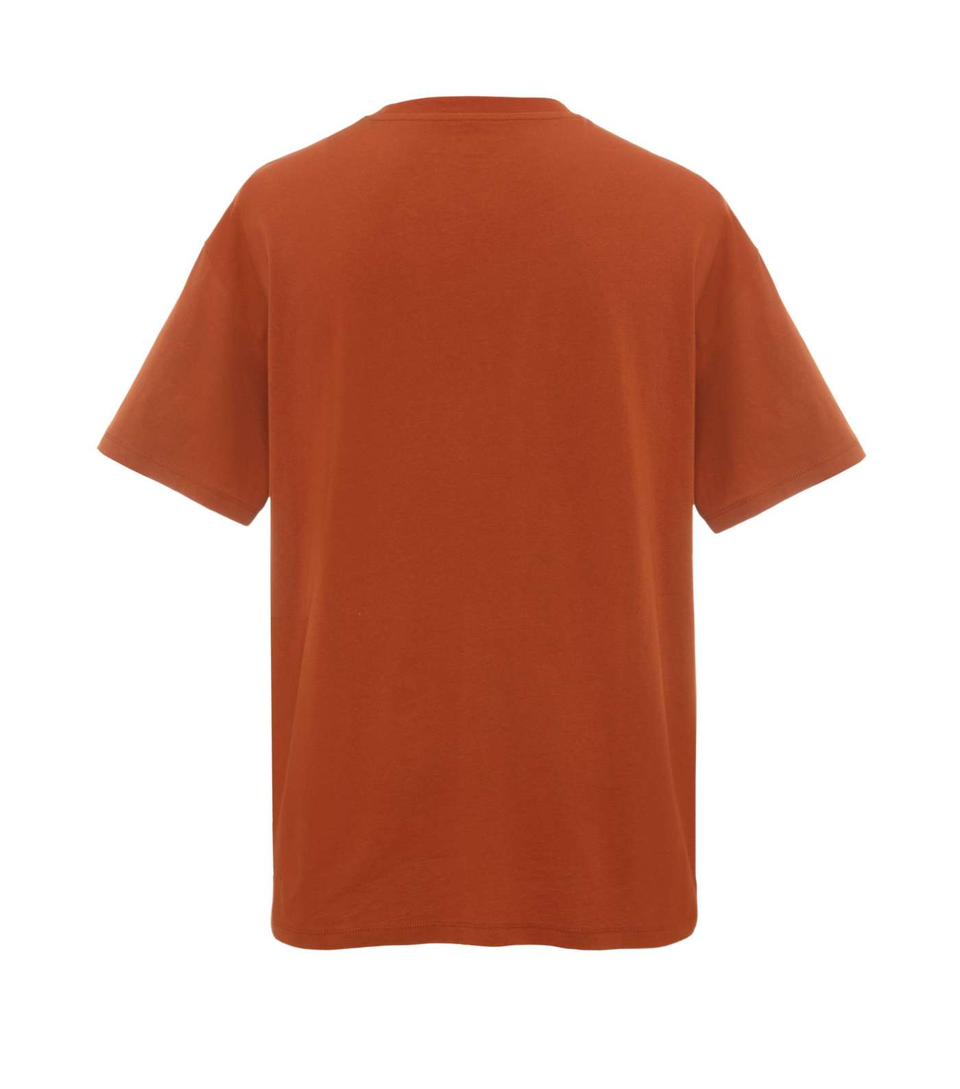 Rust Plain Relaxed Fit T-Shirt Image 2