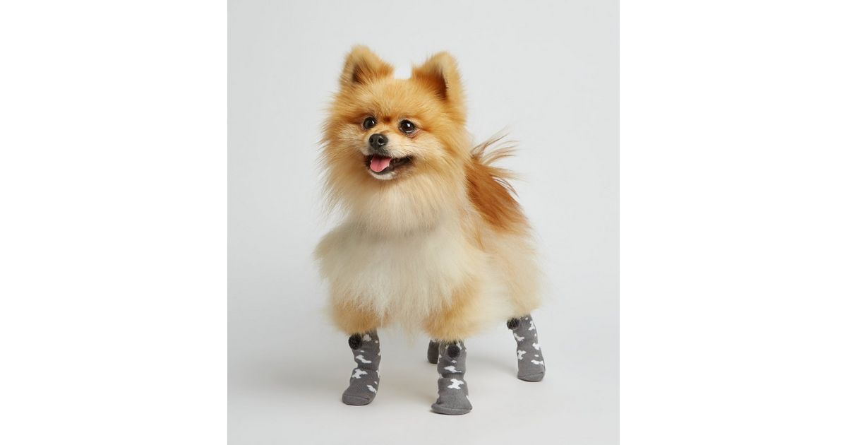Dark Grey Bone Pom Pom Dog Socks New Look