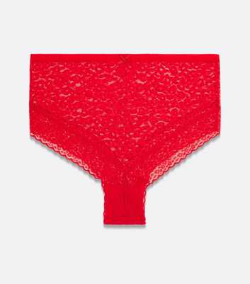 Curves Red Leopard Lace Briefs 