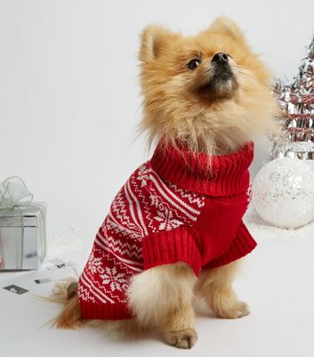 pomeranian jumper