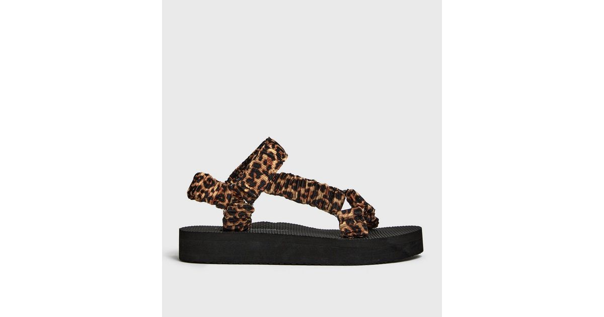 The Leopard Slides of My Dreams