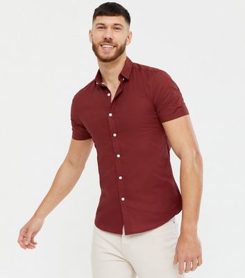Burgundy Short Sleeve Muscle Fit Oxford 