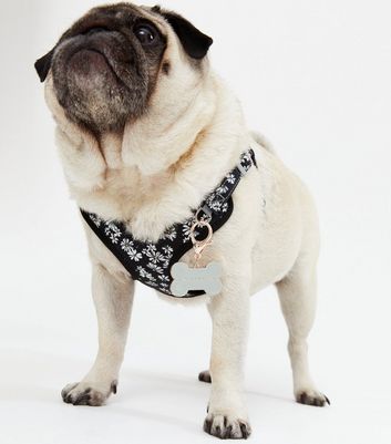 Grey I Love My Human Logo Dog Tag | New 