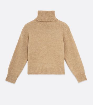 petite polo neck jumper