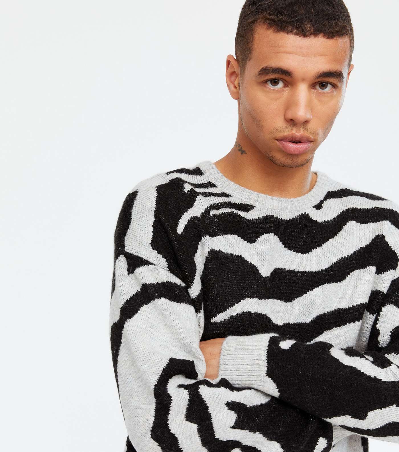 Pale Grey Tiger Pattern Relaxed Fit Jumper Image 3