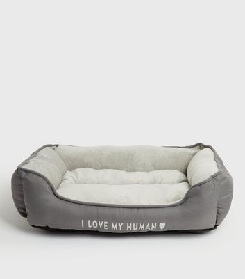 gray dog bed