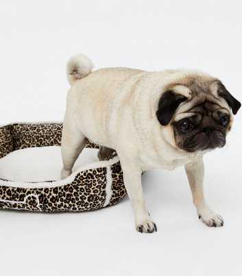 Brown Leopard Print Teddy Lined Dog Bed
