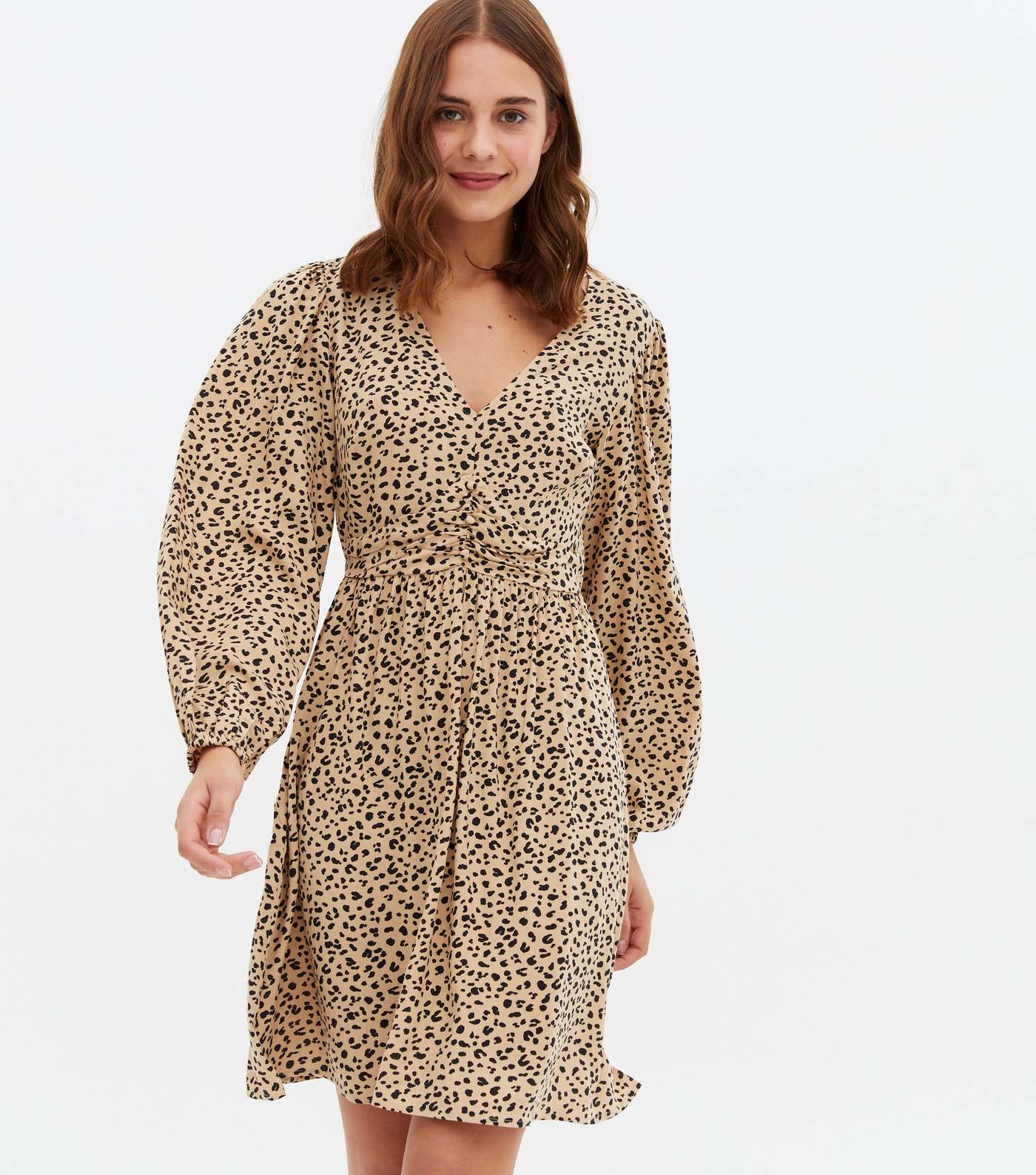 Brown Leopard Print Ruched Long Sleeve Mini Dress