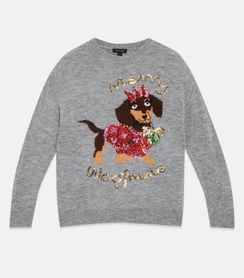 Dachshund christmas sale jumper for dog