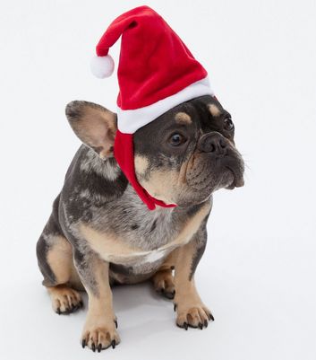 dog santa hat