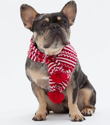 Red Fair Isle Dog Scarf | New Look