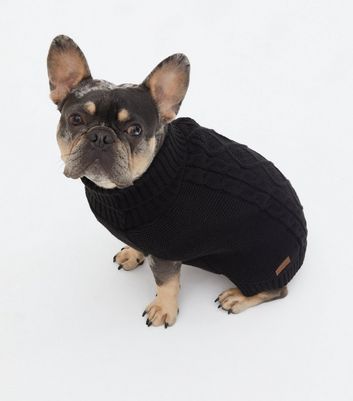 black dog jumper