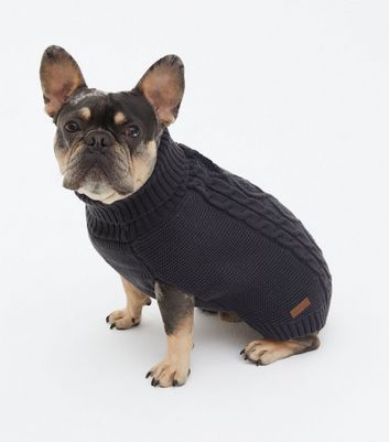 new look dog jumpers