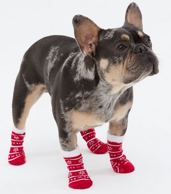 gucci dog boots