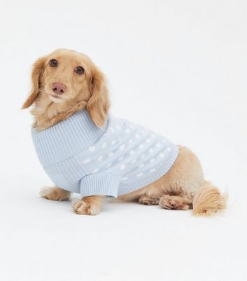 Blue Spot Dog Jumper | New Look