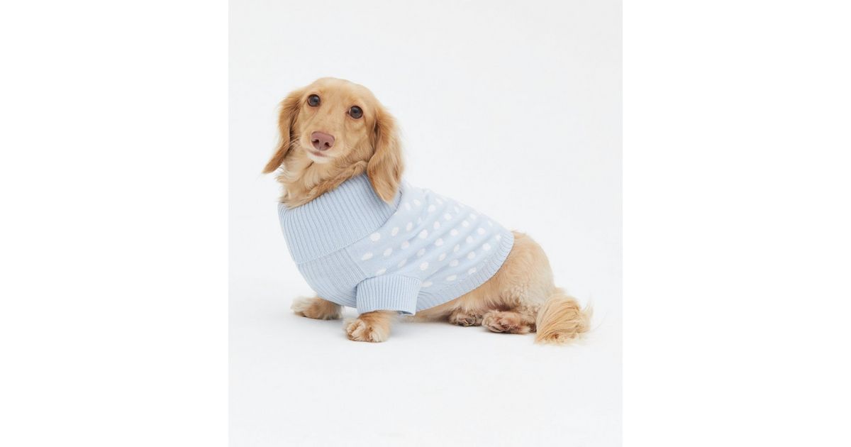 Blue Spot Dog Jumper | New Look