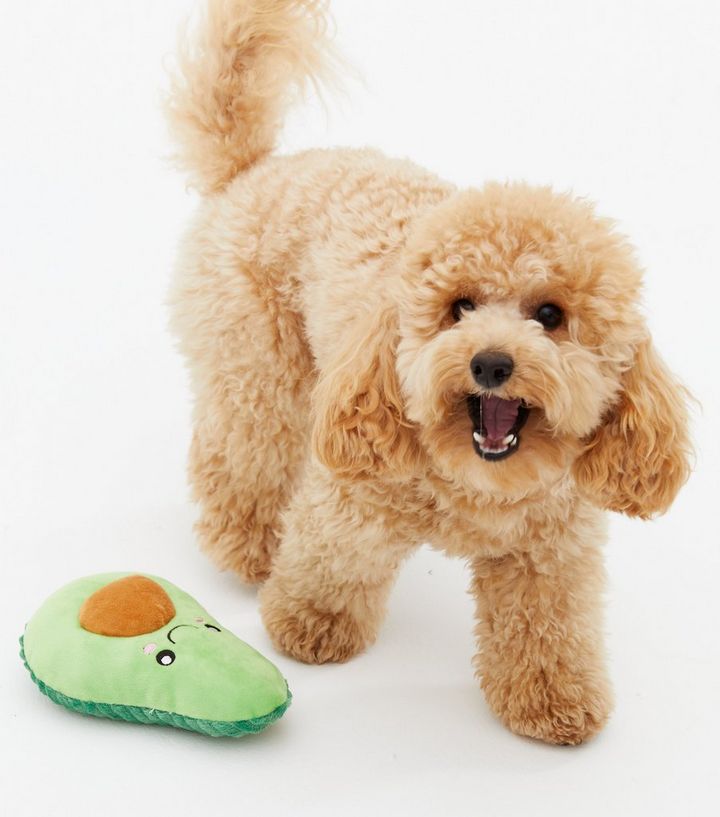 avocado dog toy uk