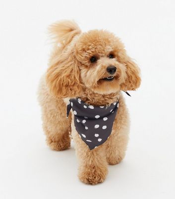 Black Spot Dog Bandana | New Look