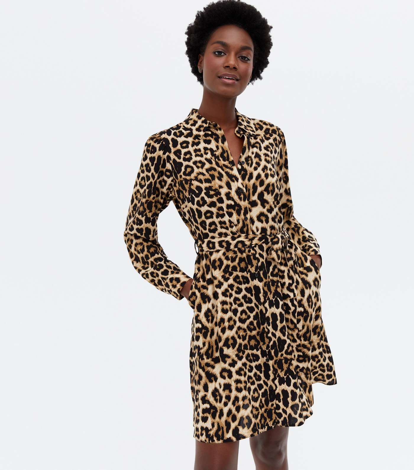 Brown Leopard Print Long Sleeve Belted Shirt Dress