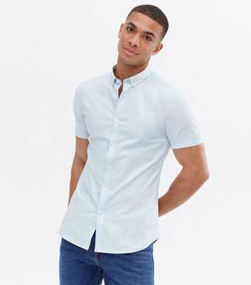 Pale Blue Muscle Fit Oxford Shirt