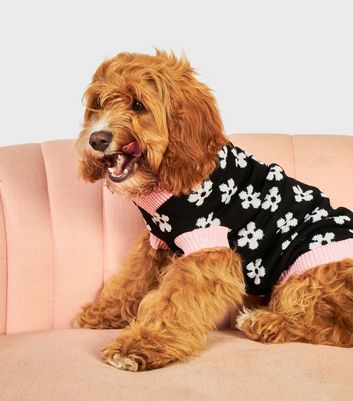 new look dog jumpers