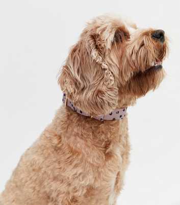 Mink Spot Dog Collar