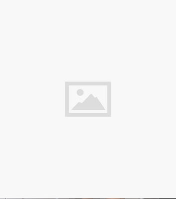 Missfiga Green Leopard Print Wrap Skater Dress