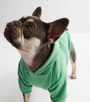 Green dog hoodie hotsell